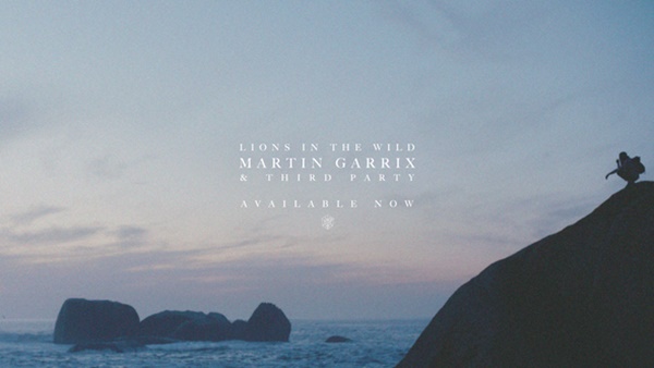 martin garrix lions in the wild