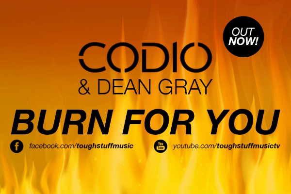 codio burn for you