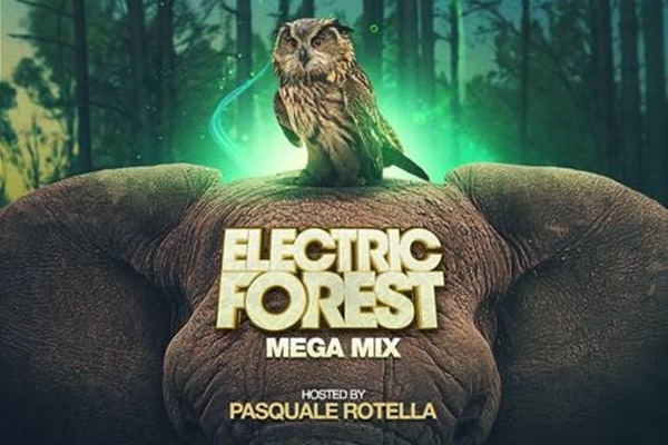 electric forest megamix