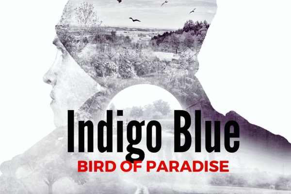 indigo blue bird of paradise
