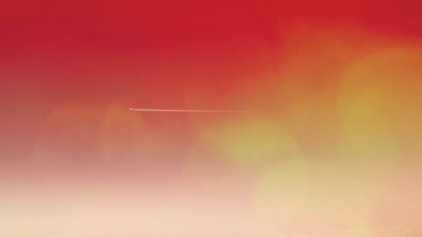 ANIMÁL A Place In The Sun