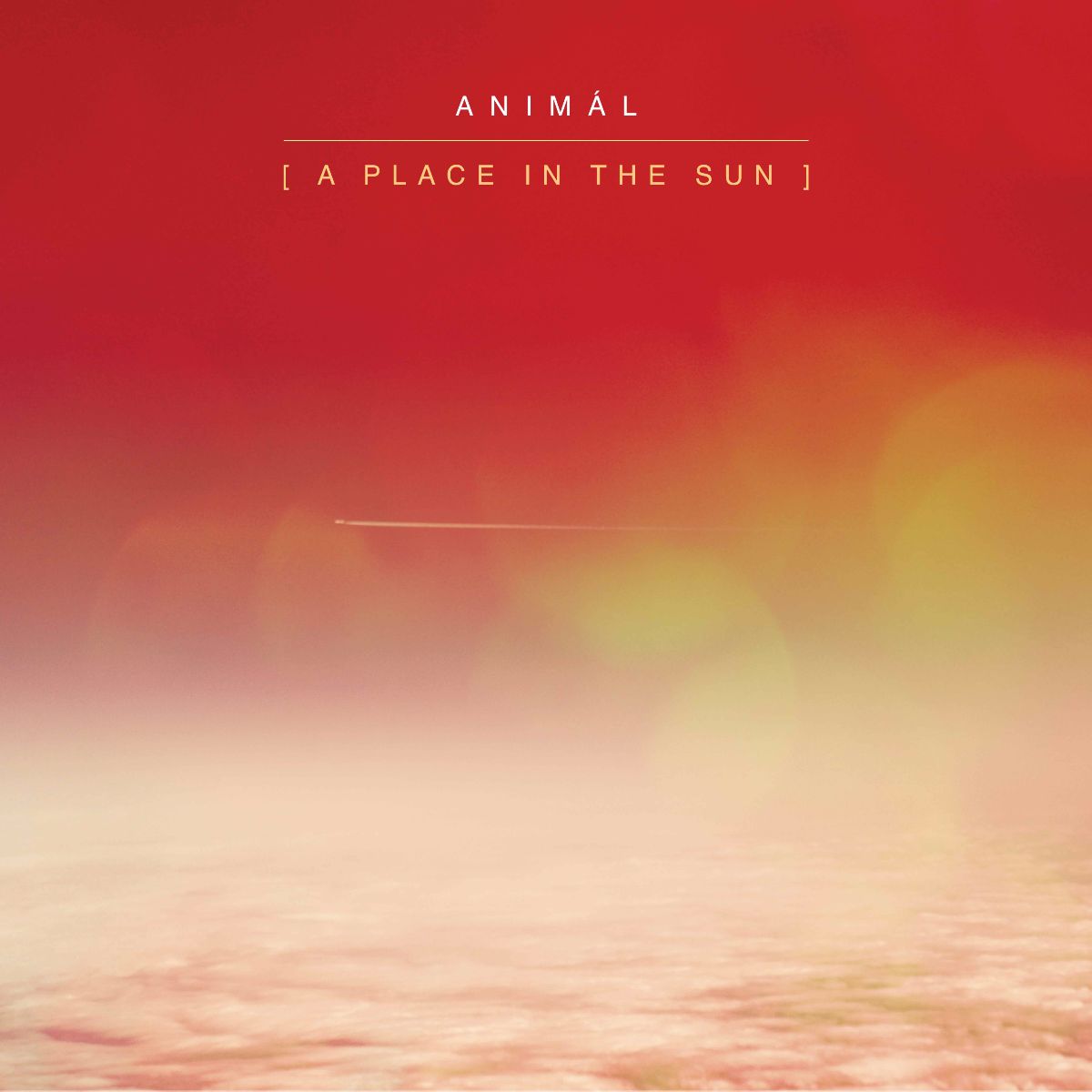 ANIMÁL A Place In The Sun