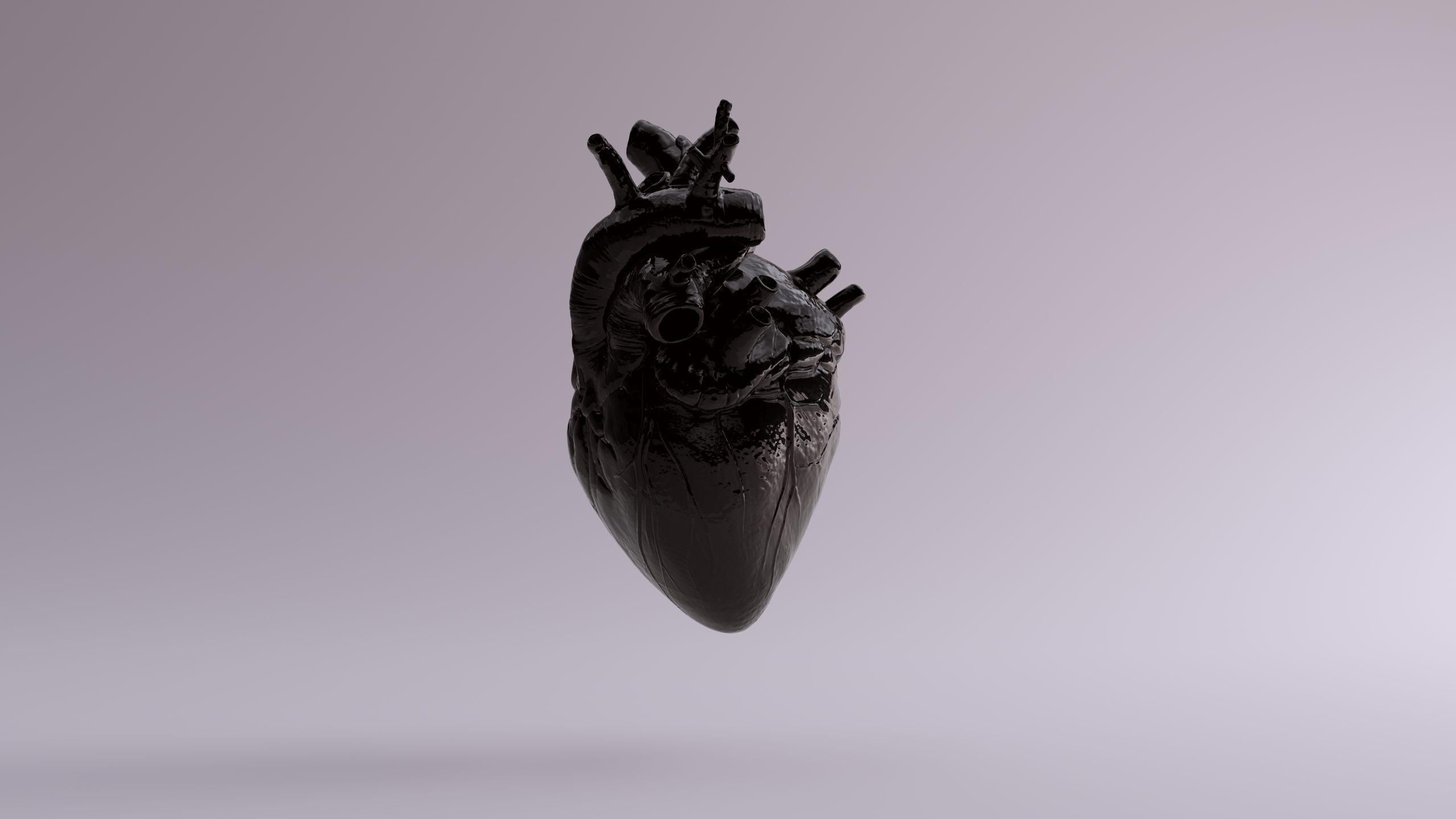 Black Anatomical Heart