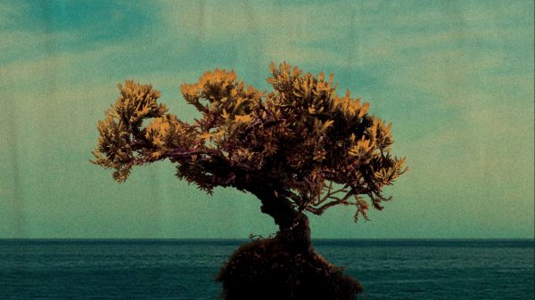 Intro To Music Theory First Inversion