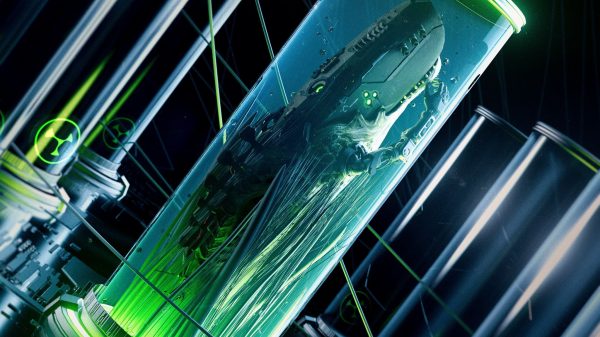 Kompany Whales Elle Vee Stand By Me