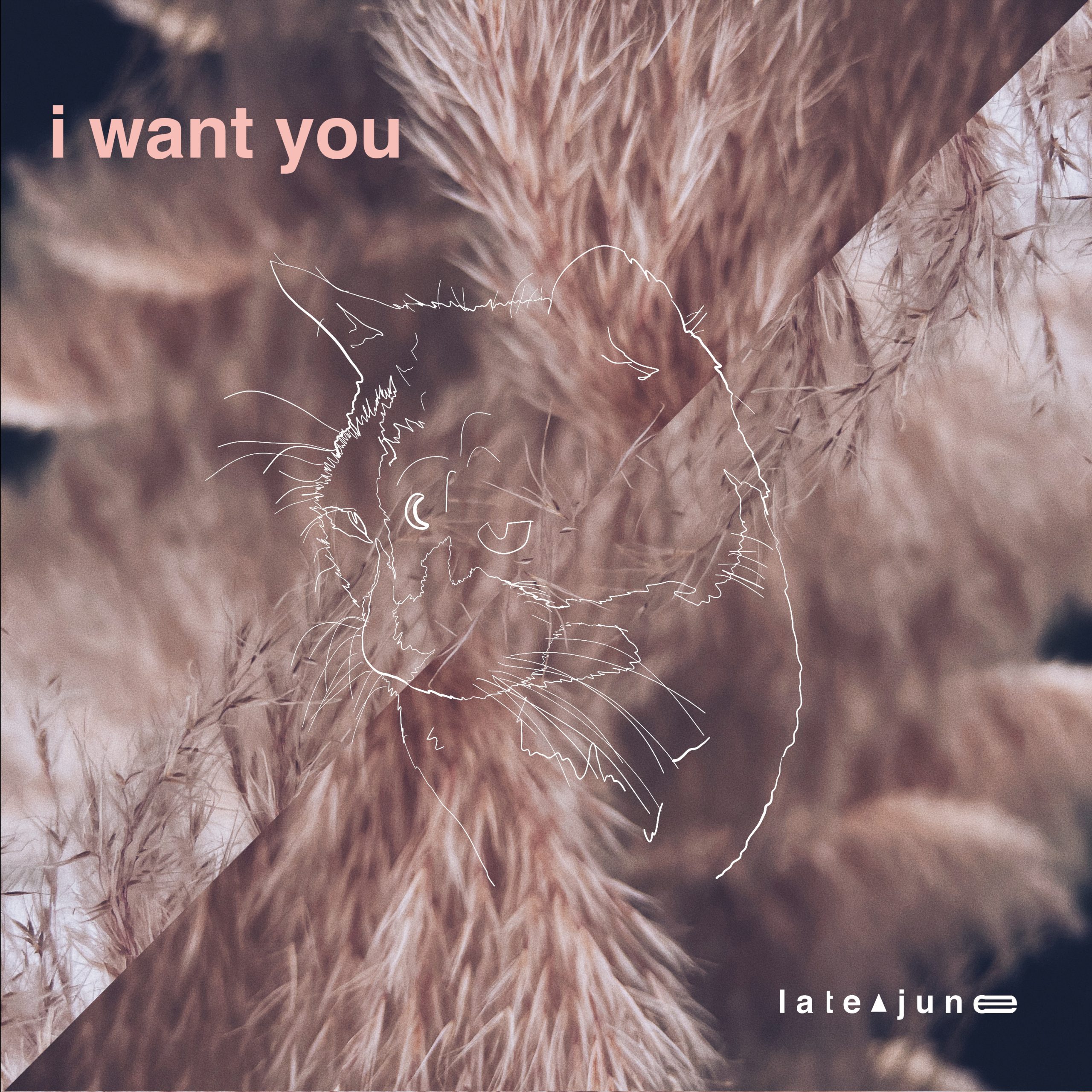 Late June-I Want You