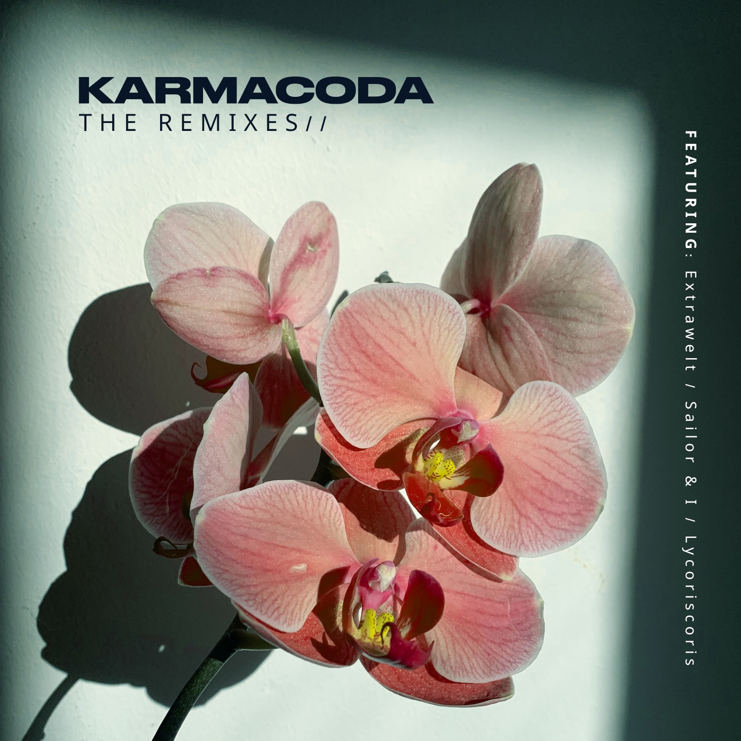 KARMACODA  Sailor & I remixes