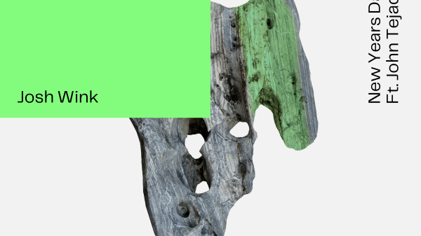 Josh Wink New Years Day Acid